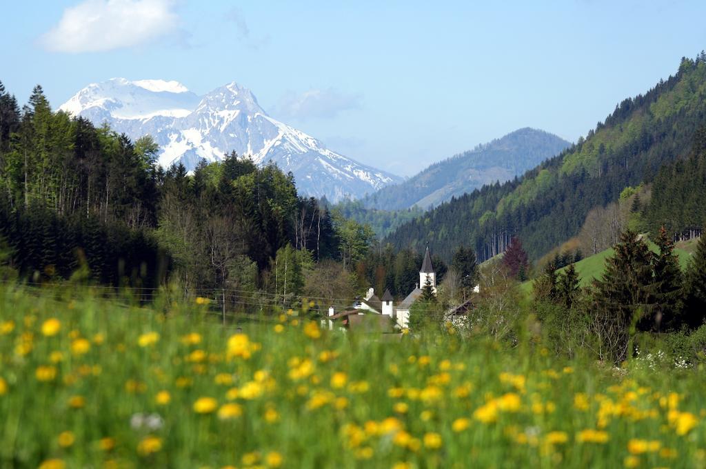 Alpenhotel Ensmann Lassing  Zewnętrze zdjęcie